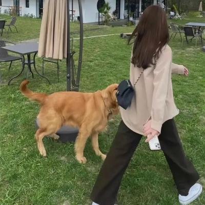 反起跑线联盟粤语 海报